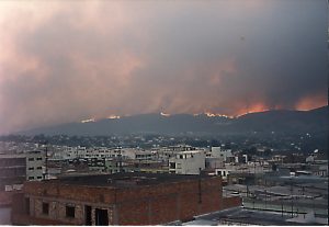 25 anys de la major tragèdia forestal d'Ontinyent: l'incendi del 94 El Periòdic d'Ontinyent - Noticies a Ontinyent