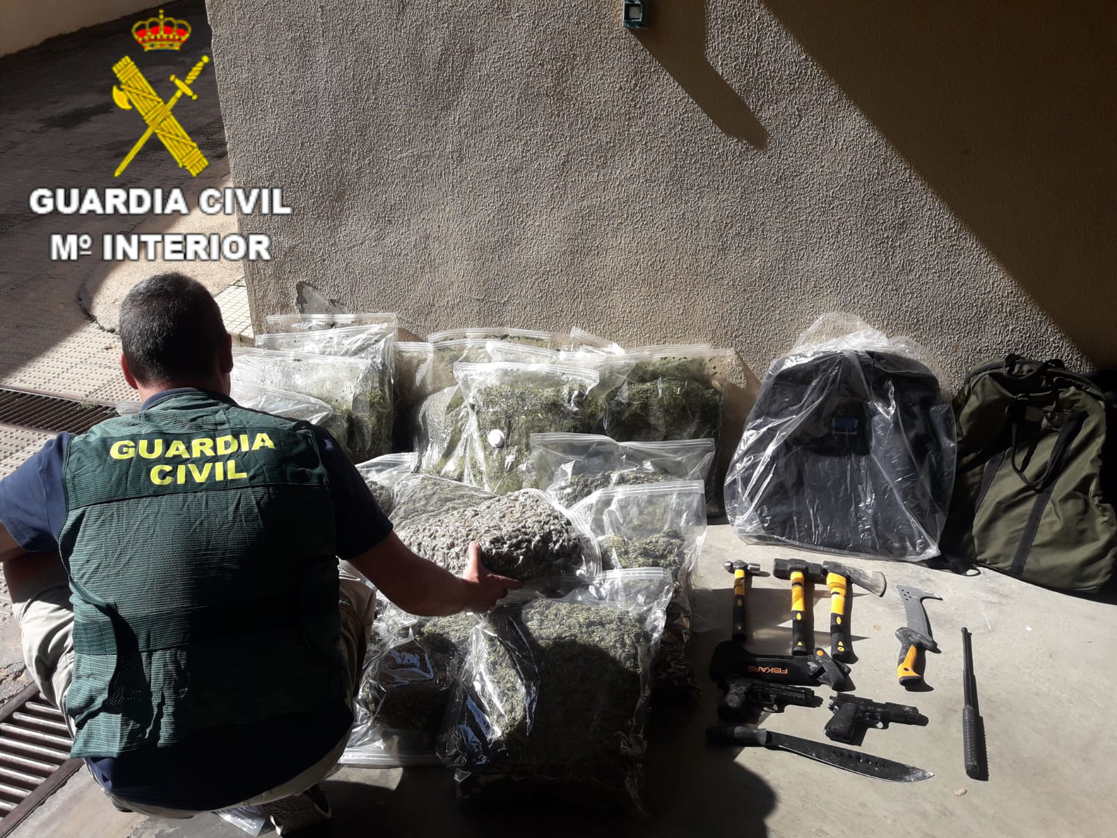 La Guàrdia Civil d'Ontinyent deté a dues dones per posseir 600 plantes de marihuana El Periòdic d'Ontinyent - Noticies a Ontinyent