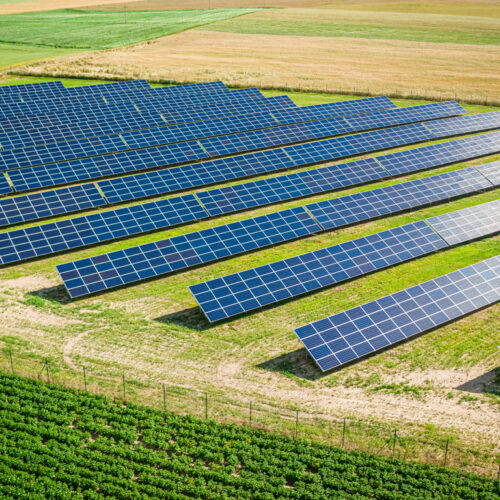 'Salvem Cairent' presentará alegaciones contra la macro planta fotovoltaica de Aielo