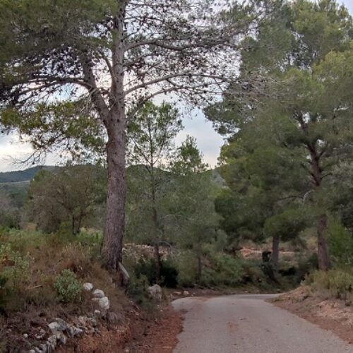 Aielo de Malferit presenta més de 500 al·legacions a Conselleria contra la macro central de Cairent
