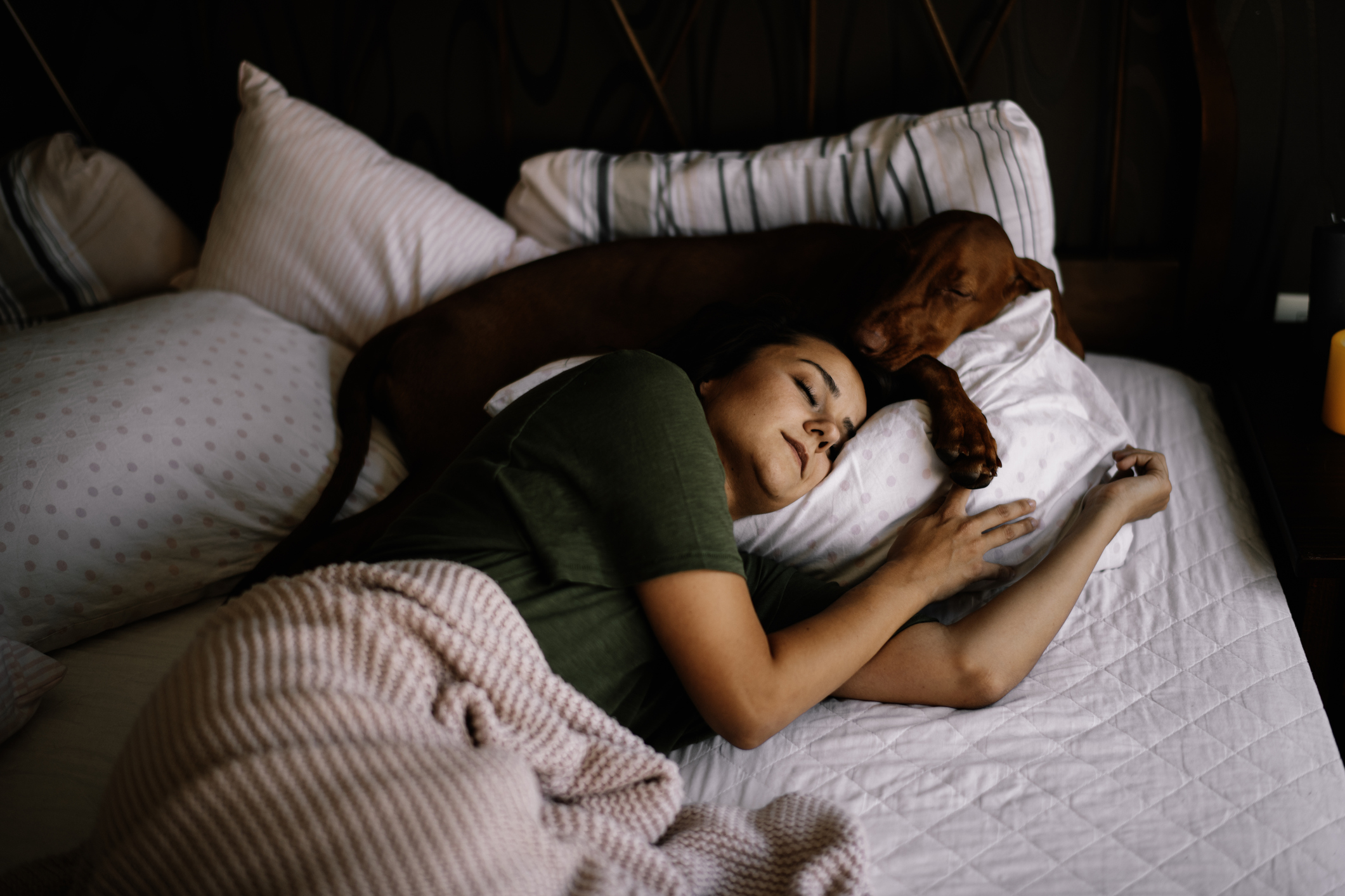 És bo dormir amb un gos? Tots els beneficis i inconvenients El Periòdic d'Ontinyent - Noticies a Ontinyent