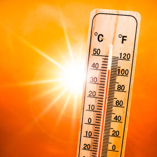S’anuncien temperatures per damunt dels 40º per als pròxims dies a Ontinyent