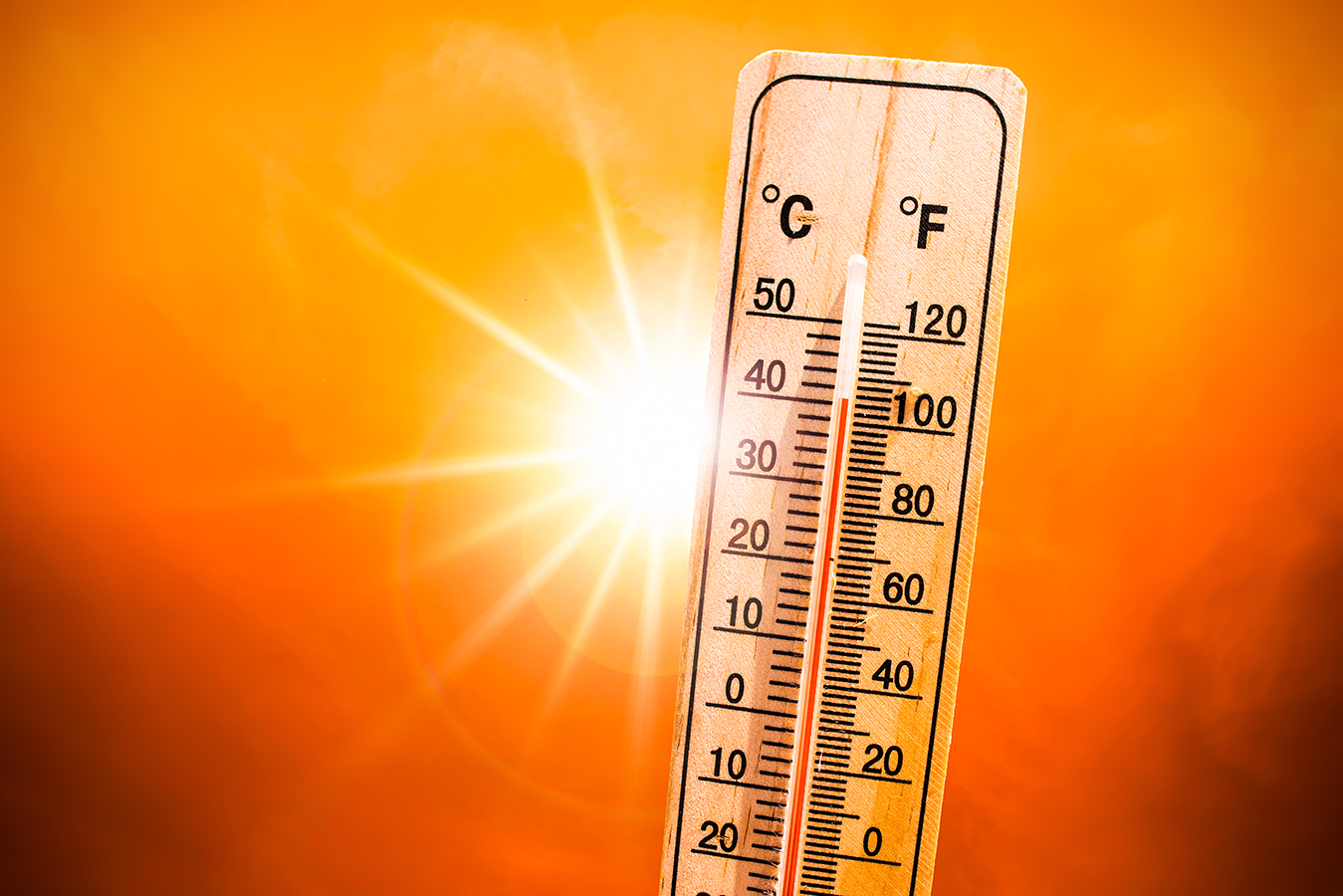 S'anuncien temperatures per damunt dels 40º per als pròxims dies a Ontinyent El Periòdic d'Ontinyent - Noticies a Ontinyent