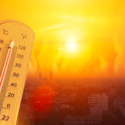 Es va batre ahir el rècord de temperatura en gener a Ontinyent?