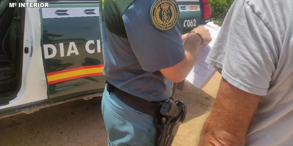 Identifican a 3 personas para robar cientos de kg de piñas en el parque natural de Mariola