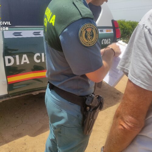 Identifican a 3 personas para robar cientos de kg de piñas en el parque natural de Mariola