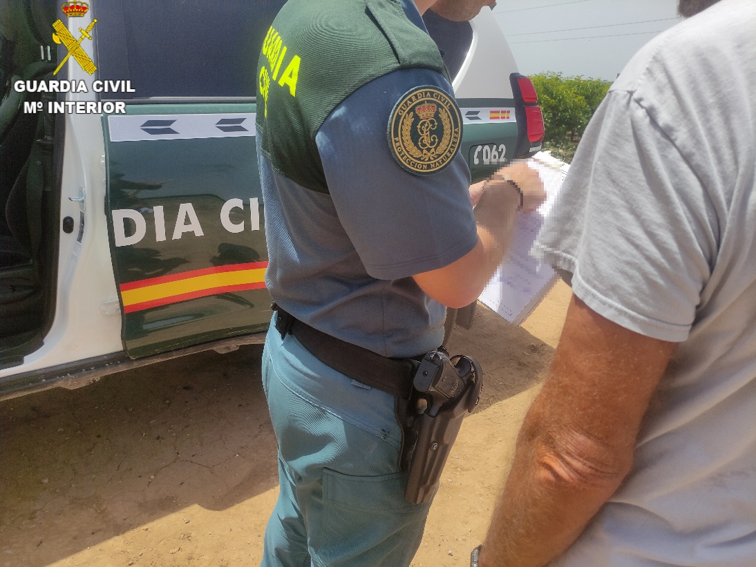 Identifiquen a 3 persones per robar centenars de kg de pinyes al parc natural de Mariola El Periòdic d'Ontinyent - Noticies a Ontinyent