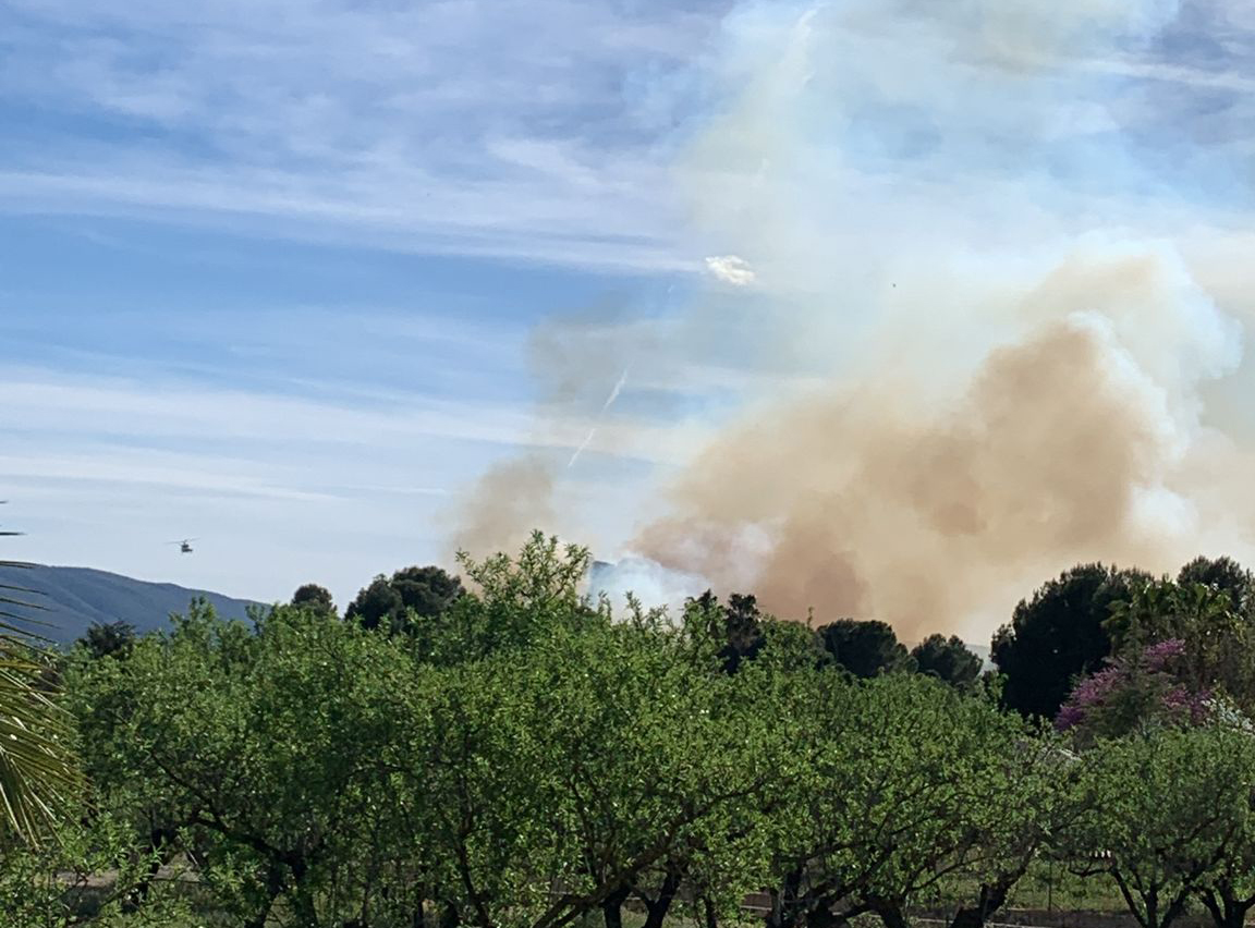 Incendi en el barranc del Portitxol d'Ontinyent El Periòdic d'Ontinyent - Noticies a Ontinyent