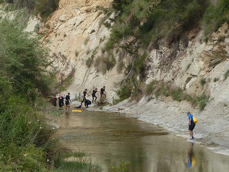 Alumnes de Biologia de 1r de Batxillerat exploren l'ecosistema del riu Clariano El Periòdic d'Ontinyent - Noticies a Ontinyent