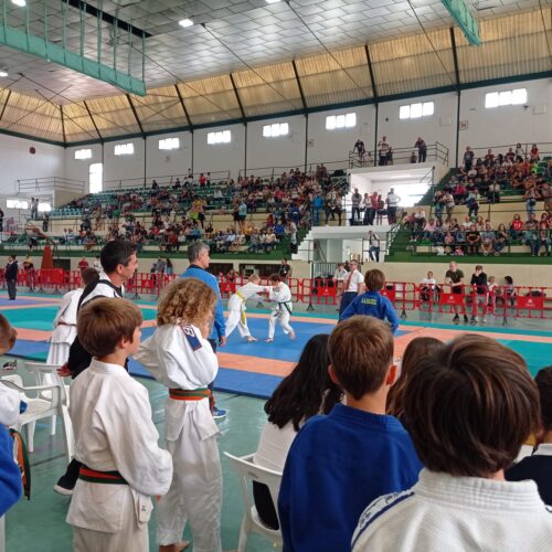 Ontinyent acull la Copa de Judo de la Federació Valenciana