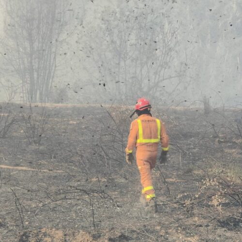 La Guàrdia Civil investiga si l’incendi de la Vall d’Albaida és intencionat