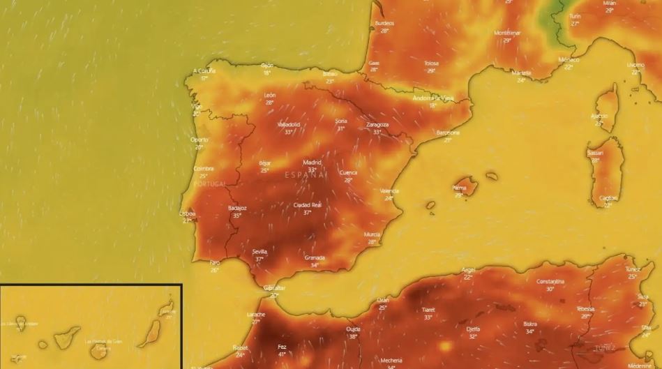 És possible batre el rècord de calor en gener aquesta setmana? El Periòdic d'Ontinyent - Noticies a Ontinyent