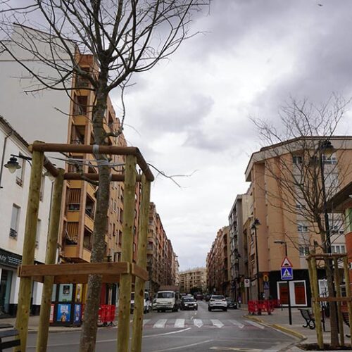L’Avinguda Almaig estrena imatge amb el nou arbrat urbà