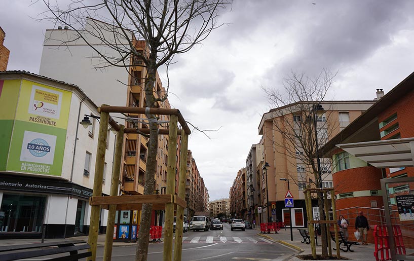 La Avenida Almaig estrena imagen con el nuevo arbolado urbano El Periódico de Ontinyent - Noticias en Ontinyent