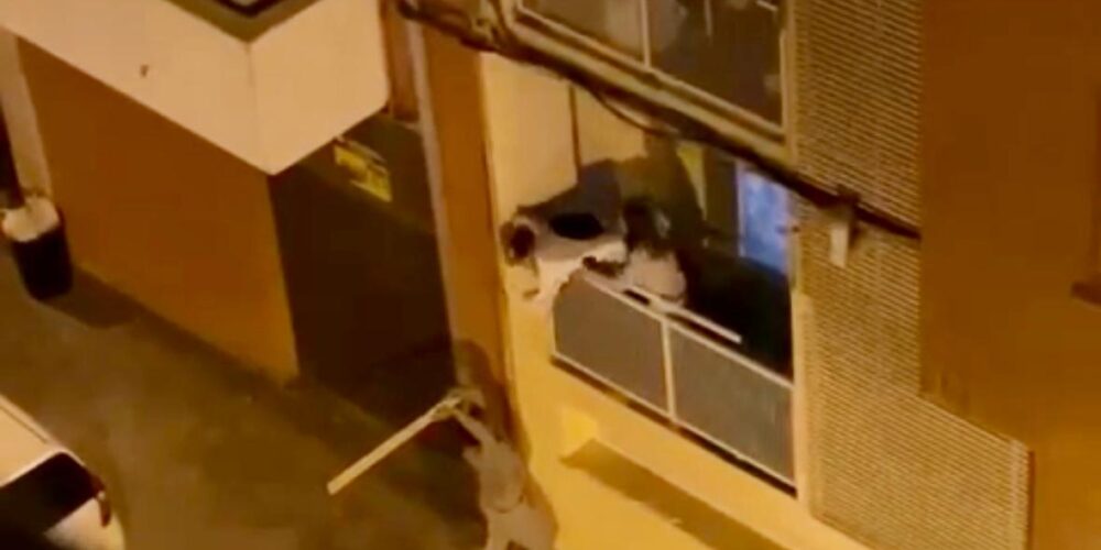 VÍDEO: Una pelea alerta a los vecinos en Sant Rafael