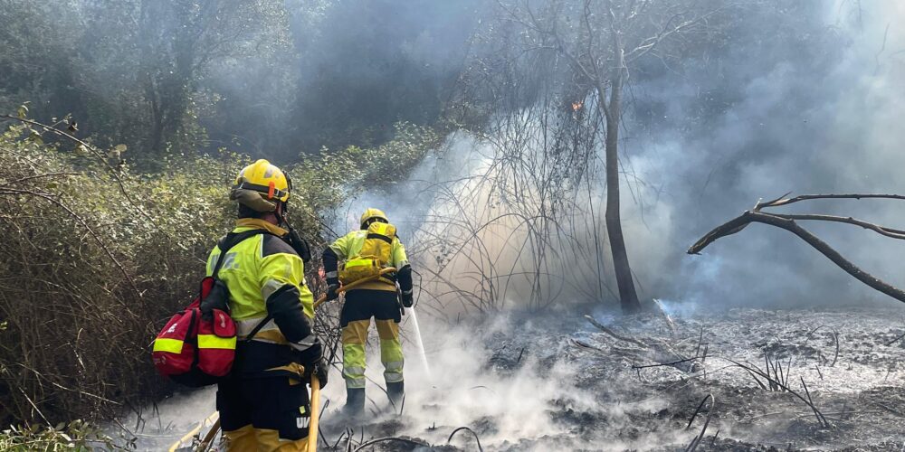 Bombers apagant l'incendi propagat a la zona forestal del riu Albaida