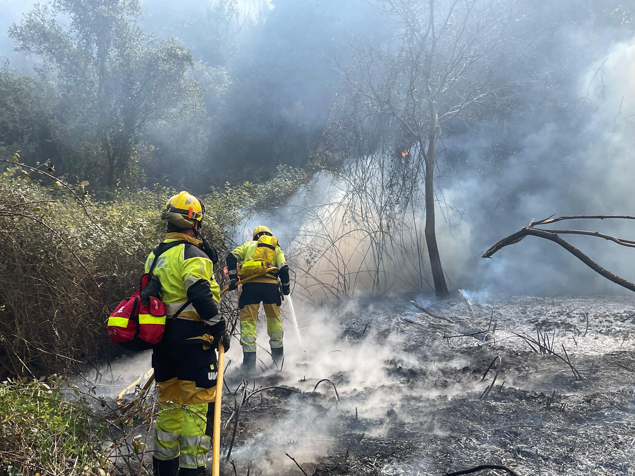 Bomberos apagando el incendio propagado en la zona forestal del río Albaida