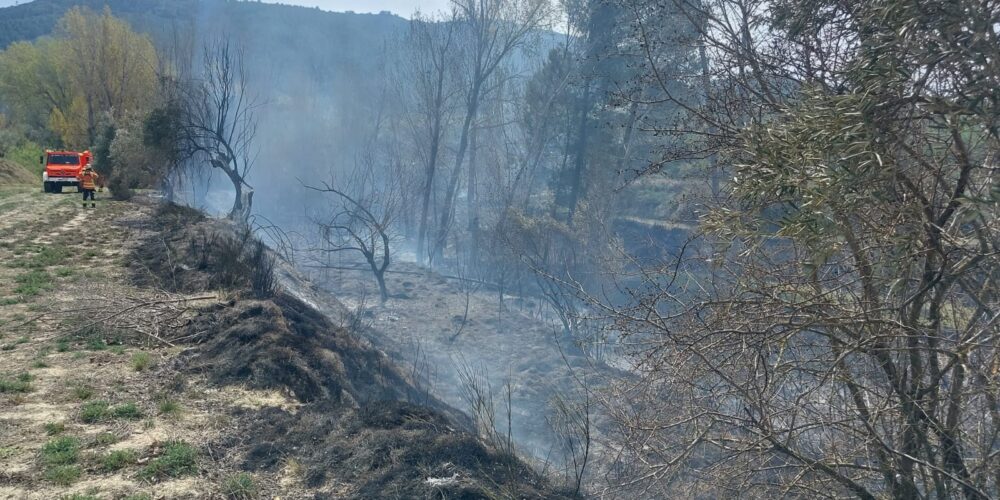 Bomberos apagando el fuego del incendio forestal en Bocairent