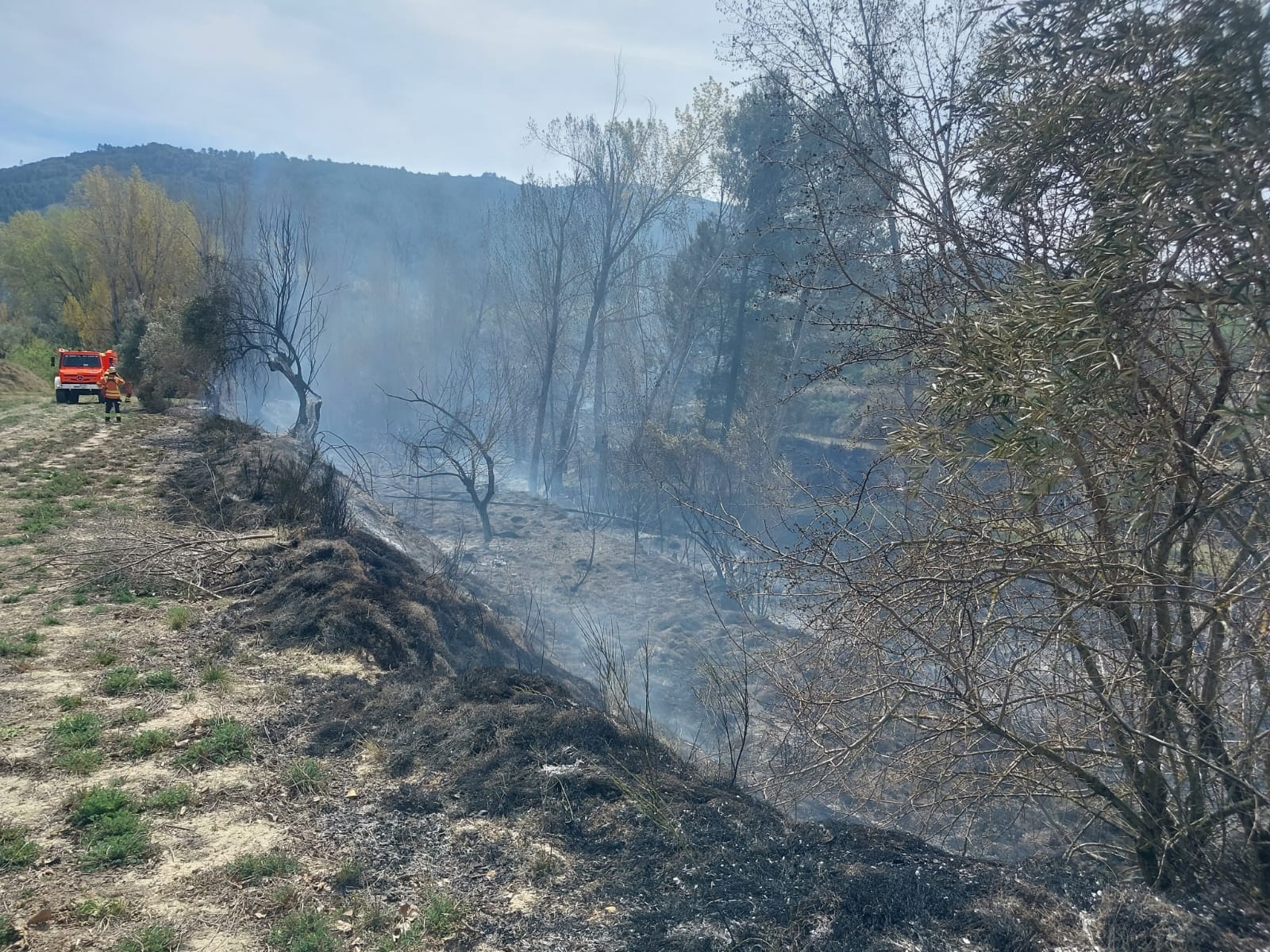 Bomberos apagando el fuego del incendio forestal en Bocairent