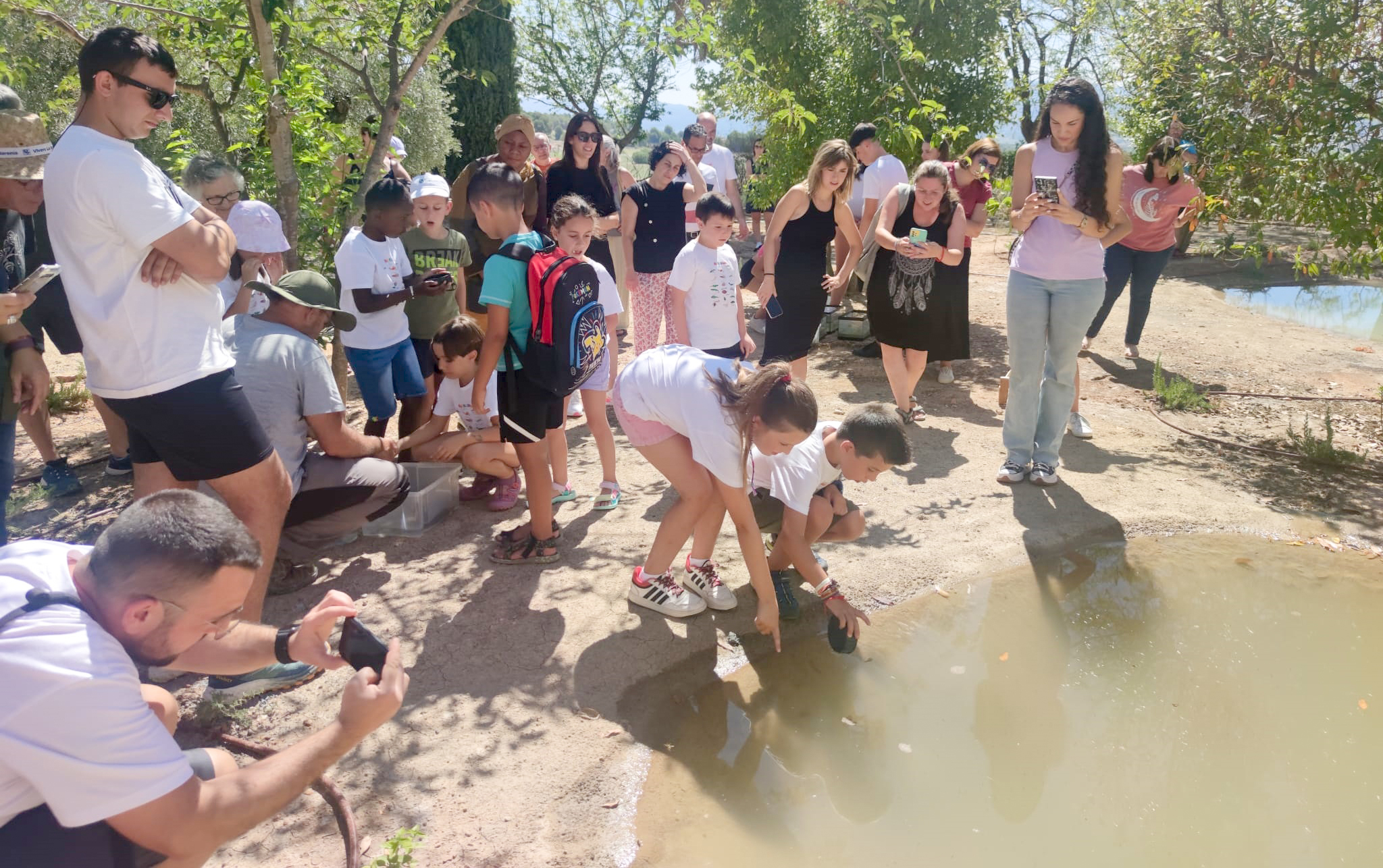 Els ofegabous i els triops ja resideixen a la finca El Port El Periòdic d'Ontinyent - Noticies a Ontinyent