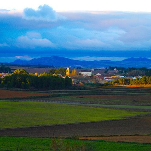 Fontanars i Ontinyent, connectats en bus des de hui