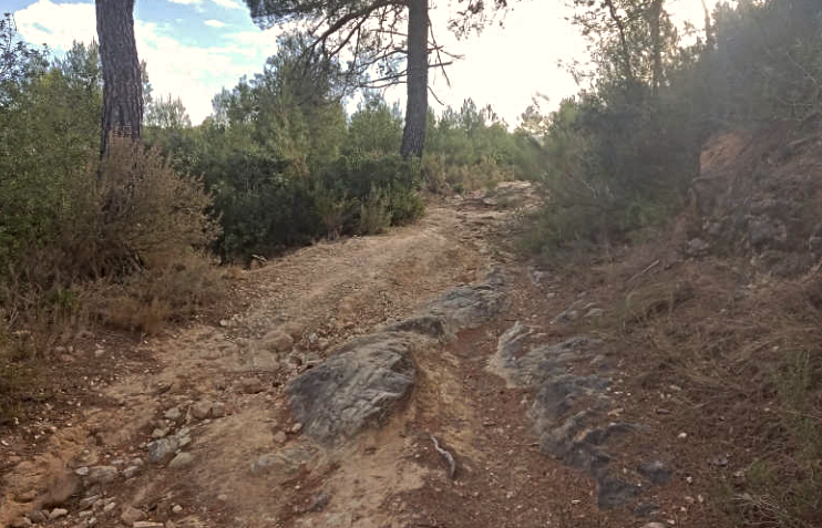 S'inicia el condicionament del sender d'accés a la finca forestal de Fuset El Periòdic d'Ontinyent - Noticies a Ontinyent