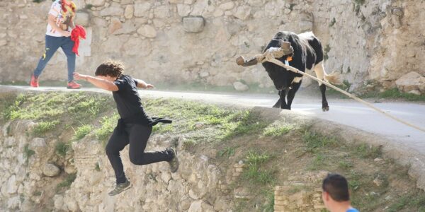 Balanç de bou: 8 atencions i un rescat a la zona del riu