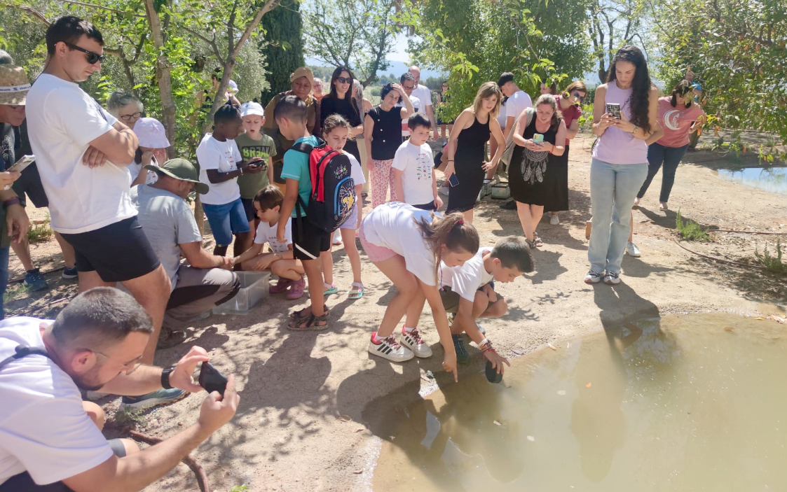 El projecte educatiu de l'Arrel per a recuperar triops i ofegabous s'amplia a set col·legis El Periòdic d'Ontinyent - Noticies a Ontinyent