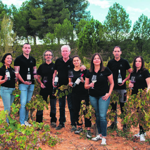 Un proyecto para unir el turismo y los vinos de Els Alforins
