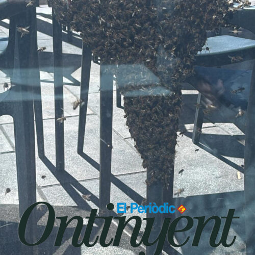 Un eixam d’abelles obliga a intervindre dues vegades en el centre comercial El Teler d’Ontinyent
