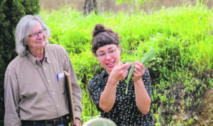 Una iniciativa rescata el valor de nuestras plantas comestibles El Periódico de Ontinyent - Noticias en Ontinyent