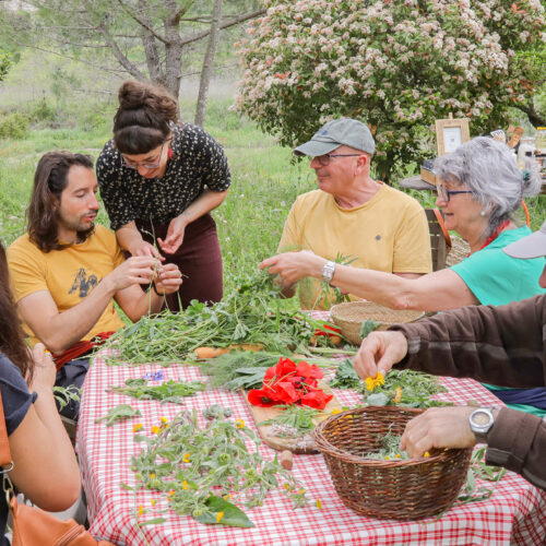 Casimir Romero i Amanda Bataller s’uneixen  per a divulgar les Herbes Mengívoles