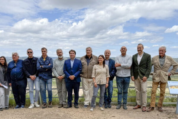 Moixent es prepara per acollir la 12a Mostra de Vins de Terres dels Alforins