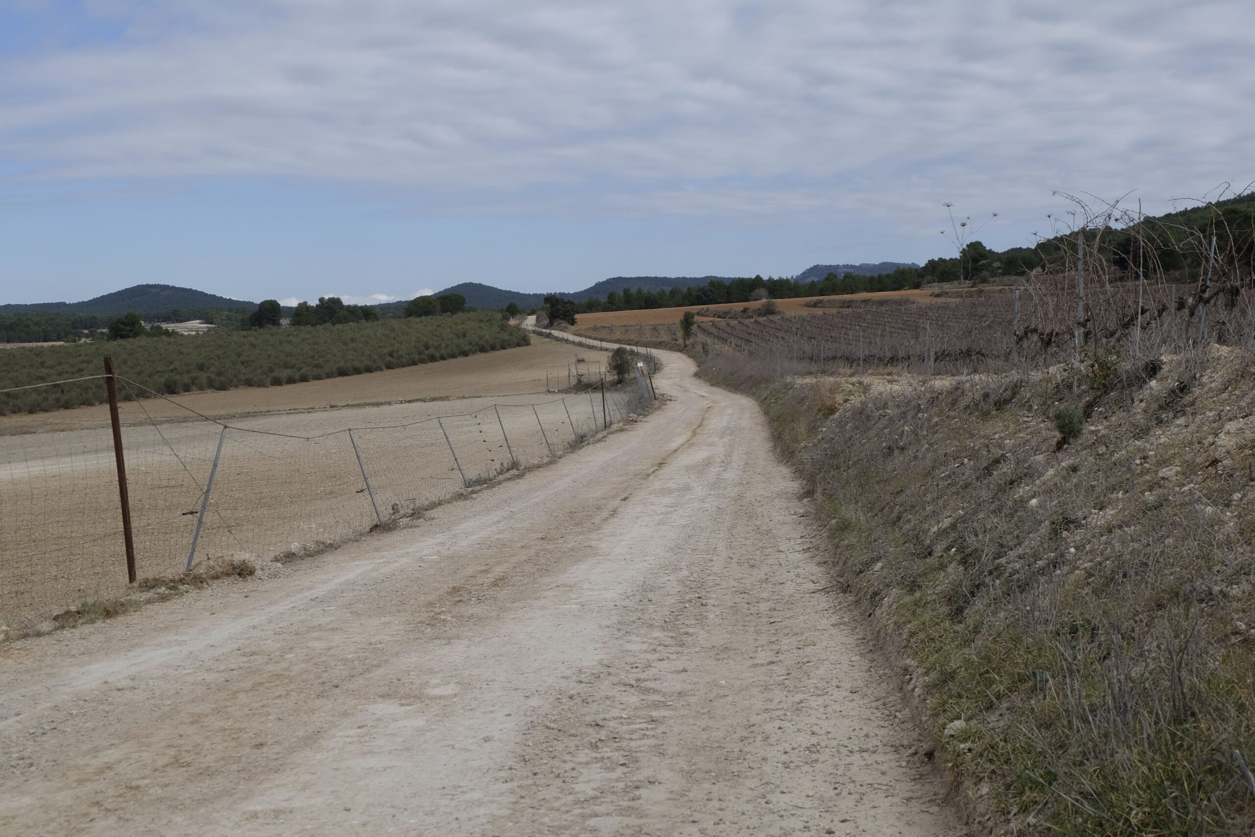 El Periòdic d'Ontinyent - Noticies a Ontinyent Bocairent invertirà 144.721,29 euros en la millora de camins rurals Bocairent invertirà 144.721,29 euros en la millora de camins rurals El Periòdic d'Ontinyent - Noticies a Ontinyent