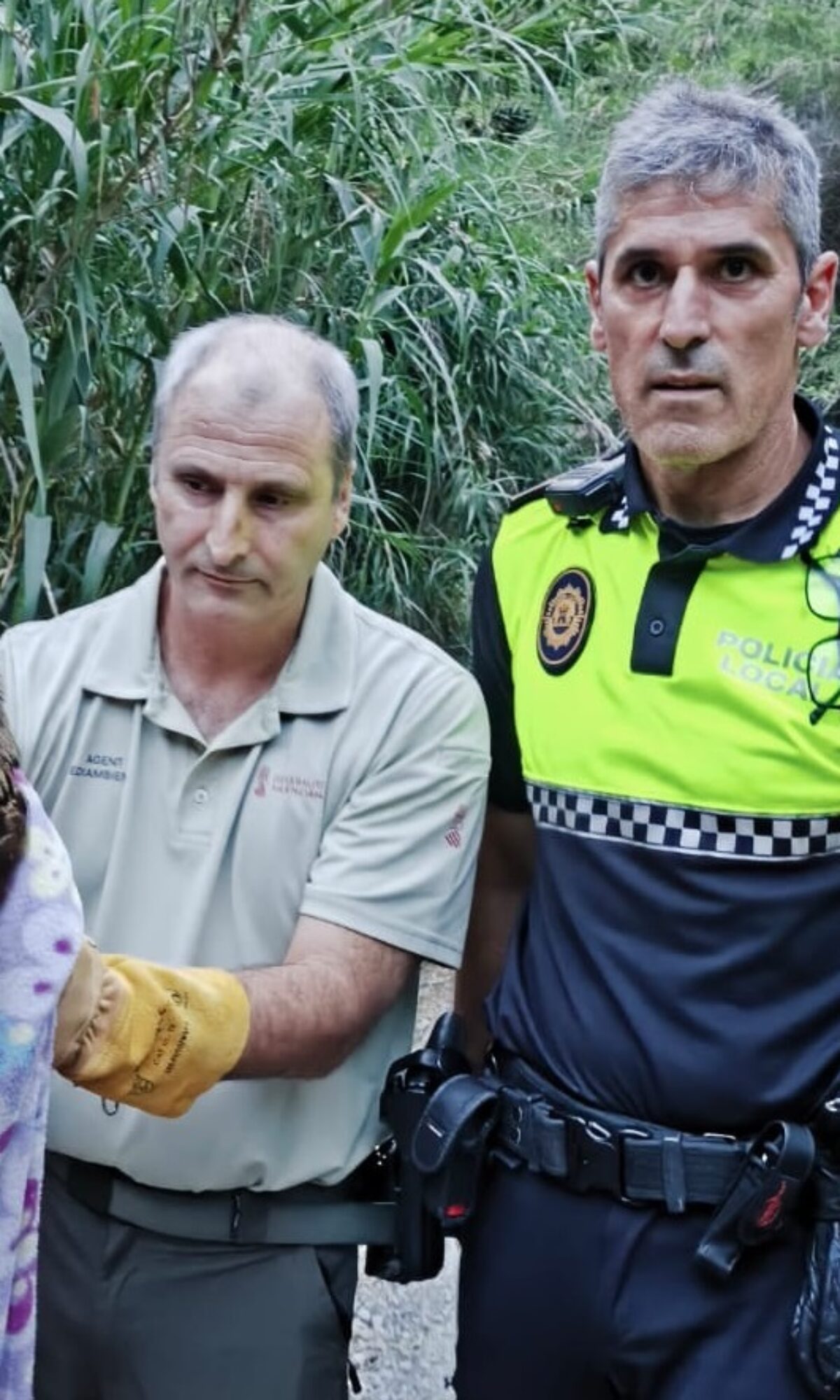 Rescaten un brúfol real en el barranc de la Puríssima