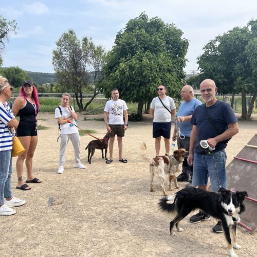 Els usuaris de la zona per a gossos de Benarrai exigeixen “més manteniment”