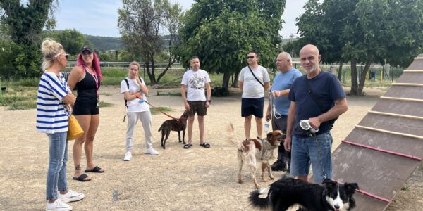 Els usuaris de la zona per a gossos de Benarrai exigeixen “més manteniment”