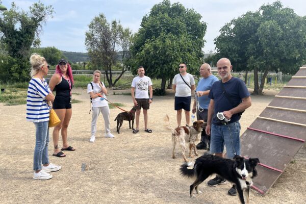 Els usuaris de la zona per a gossos de Benarrai exigeixen “més manteniment”