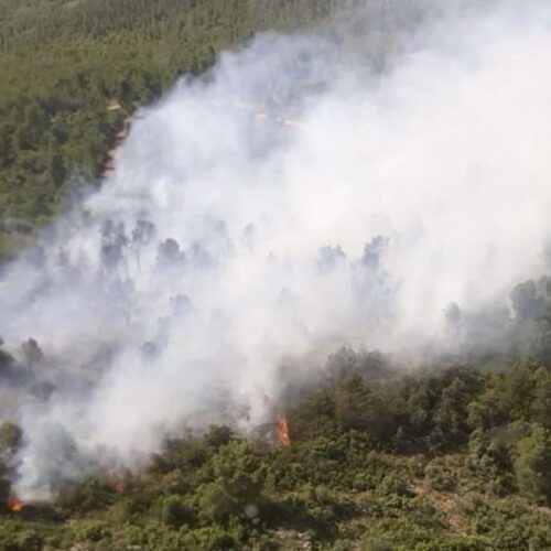El primer incendi de l’estiu amenaça la Serra Mariola