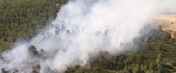 El primer incendi de l’estiu amenaça la Serra Mariola