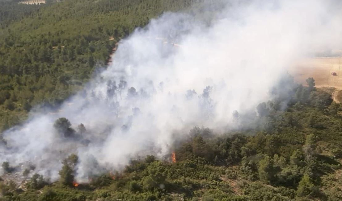 El primer incendi de l'estiu amenaça la Serra Mariola El Periòdic d'Ontinyent - Noticies a Ontinyent