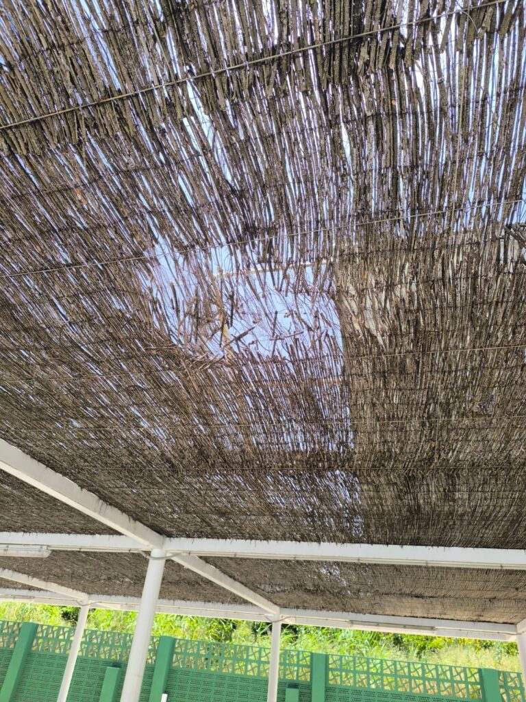 El Periòdic d'Ontinyent - Noticies a Ontinyent Denuncien el mal estat de la zona d'ombra en la piscina municipal Denuncien el mal estat de la zona d'ombra en la piscina municipal El Periòdic d'Ontinyent - Noticies a Ontinyent